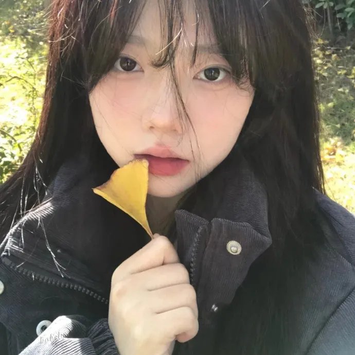 小公子