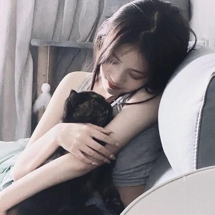 自由鸟